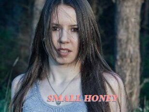 SMALL_HONEY