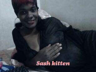 Sash_kitten