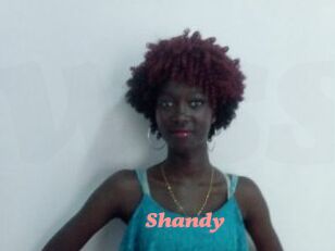 Shandy