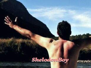 ShelodonBoy