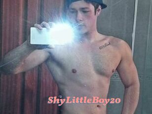 ShyLittleBoy20