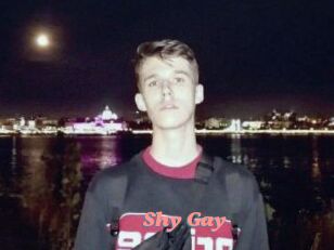 Shy_Gay