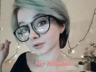 Shy_Mimosa