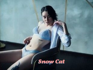 Snow_Cat