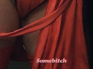 Somebitch