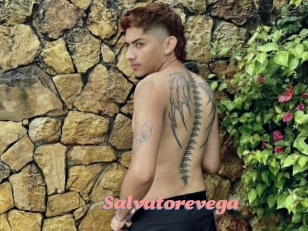 Salvatorevega