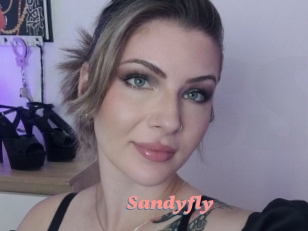 Sandyfly