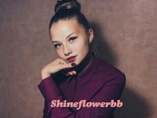 Shineflowerbb