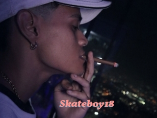 Skateboy18