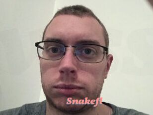 Snakefl