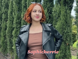 Sophicherrie