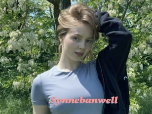 Synnebanwell