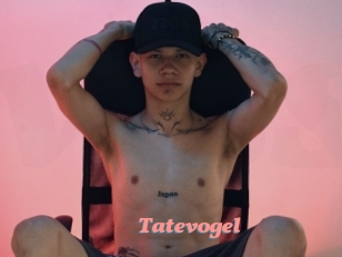 Tatevogel