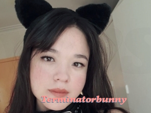 Terminatorbunny