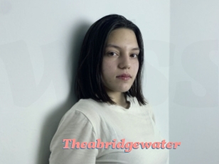 Theabridgewater