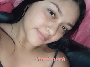 Tinnimark