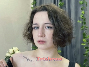 Trishrose