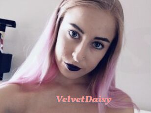 VelvetDaisy