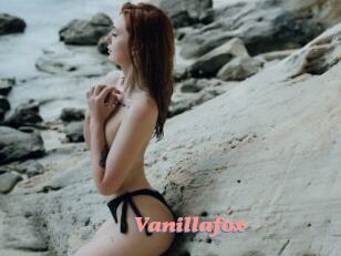 Vanillafox