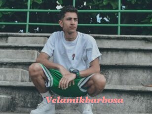 Velamikbarbosa