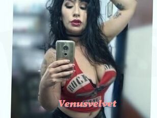 Venusvelvet