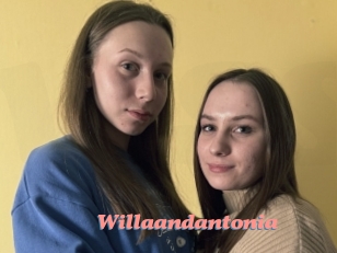 Willaandantonia