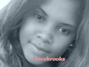 Ynesbrooks