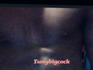 Yungbigcock