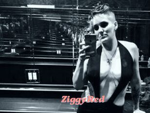 ZiggyRed